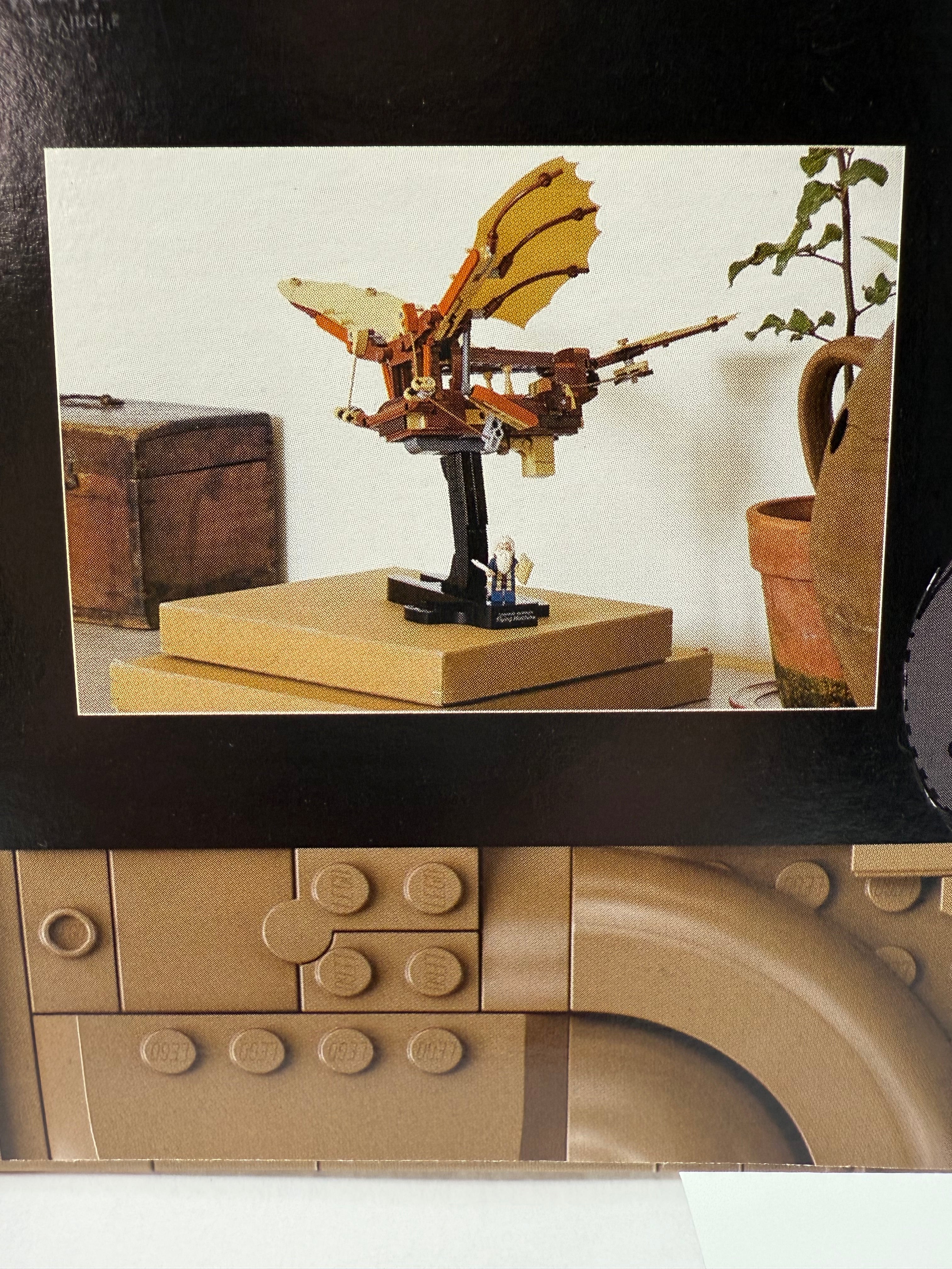 LEONARDO DA VINCI'S FLYING MACHINE (10363)