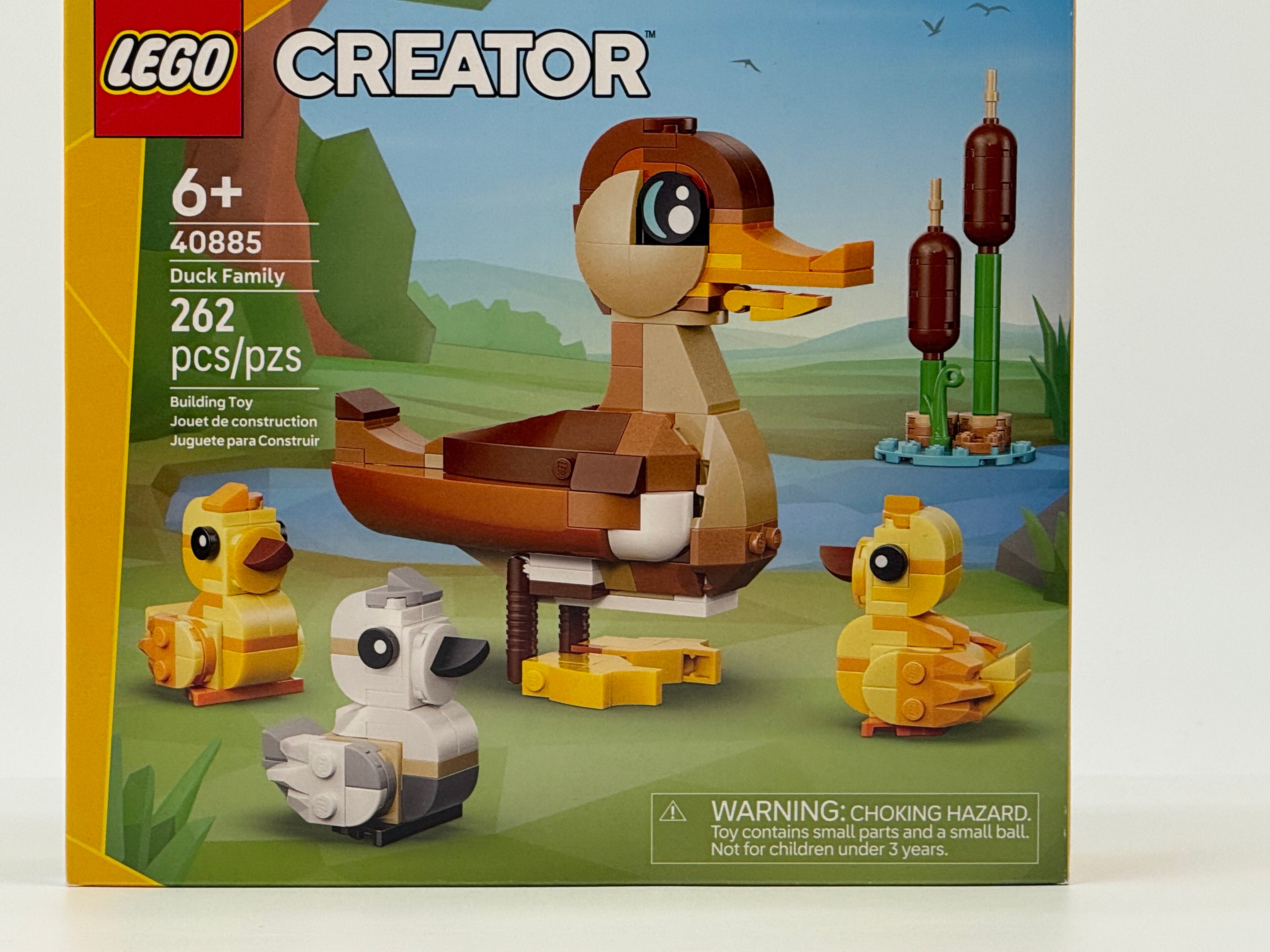 DUCK FAMILY (40885)