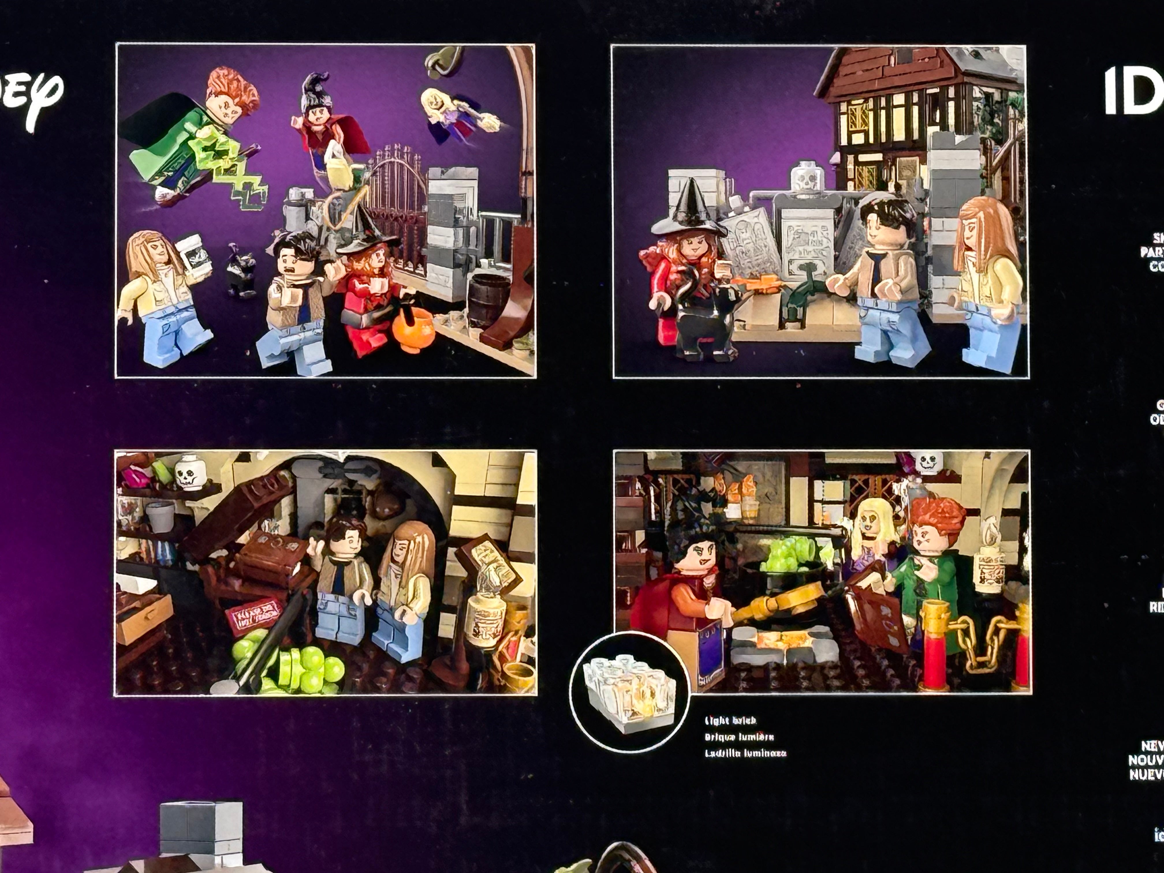 HOCUS POCUS (21341)